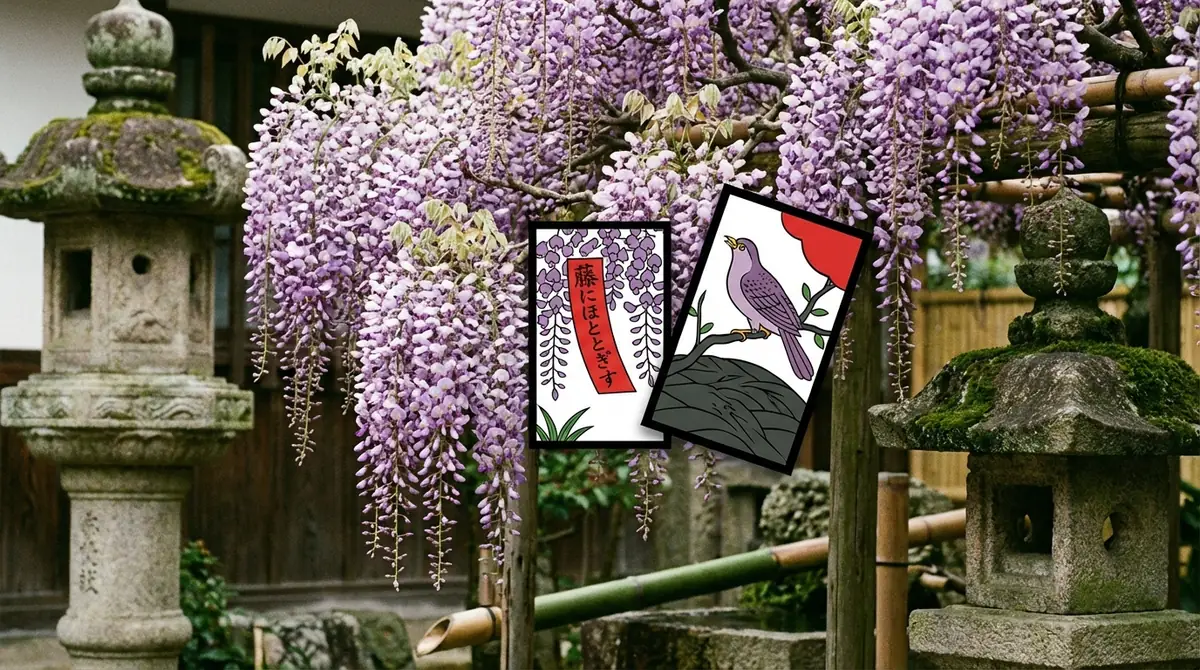 花札の4月はなぜ「藤」？旧暦との関係と文化的背景